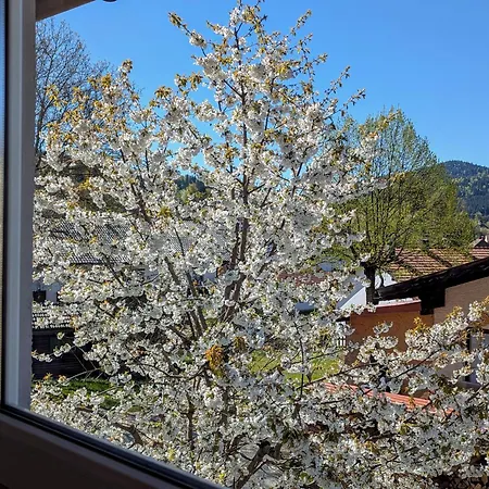 Διαμέρισμα Design-suite Am Bach - 100qm Ruhe, 5 Min Zum Bahnhof & Aktivcard Bodenmais